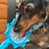 Lick Sticks | Interactive Dog Training Toy - Farm To Pet - Flyclothing LLC