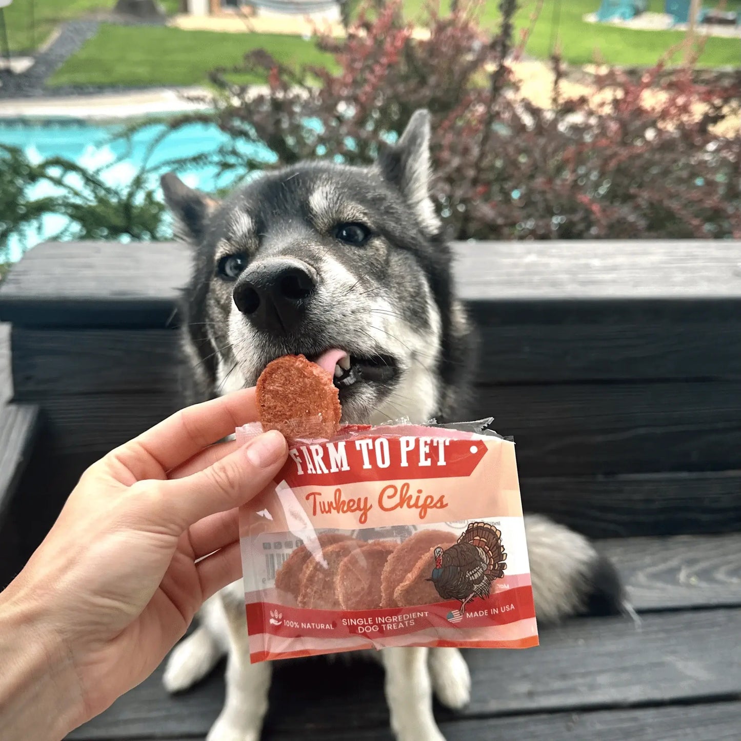 Turkey Chips Snack Pack Bundles | Low Allergen Treats for Training - Farm To Pet - Flyclothing LLC