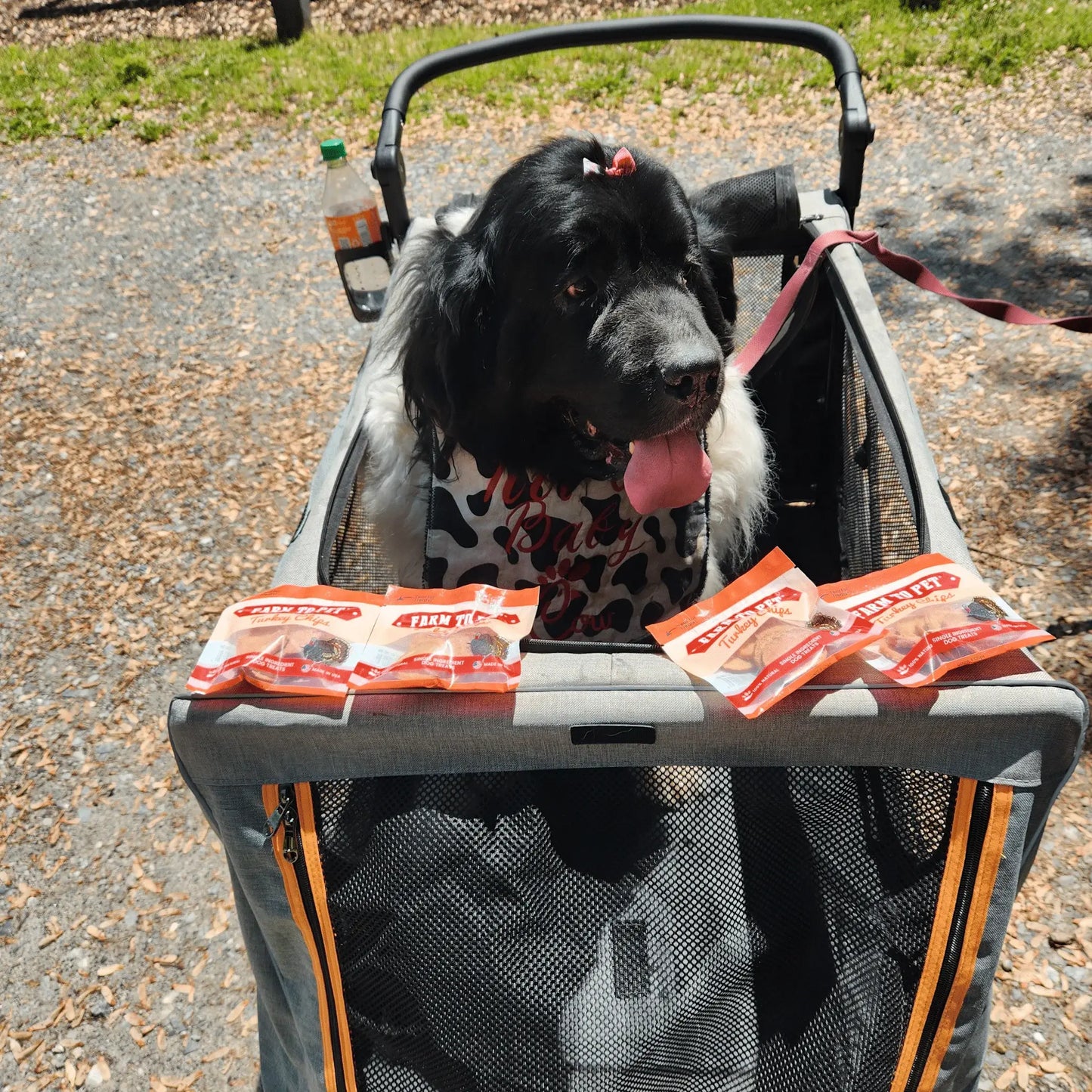 Turkey Chips Snack Pack Bundles | Low Allergen Treats for Training - Farm To Pet - Flyclothing LLC