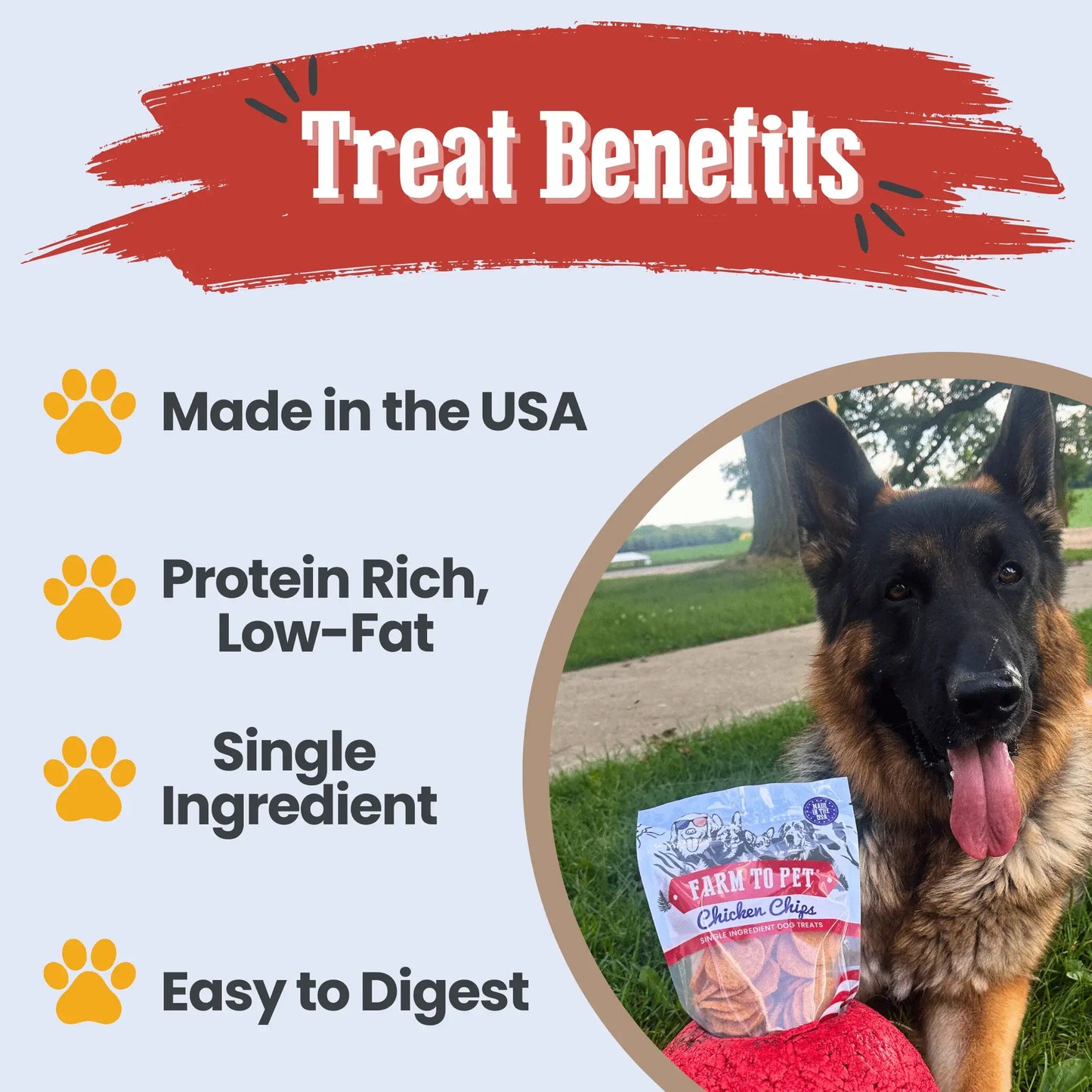 Americana Chicken Chips for Dogs | Celebrate with USA-made Dog Treats - Farm To Pet - Flyclothing LLC