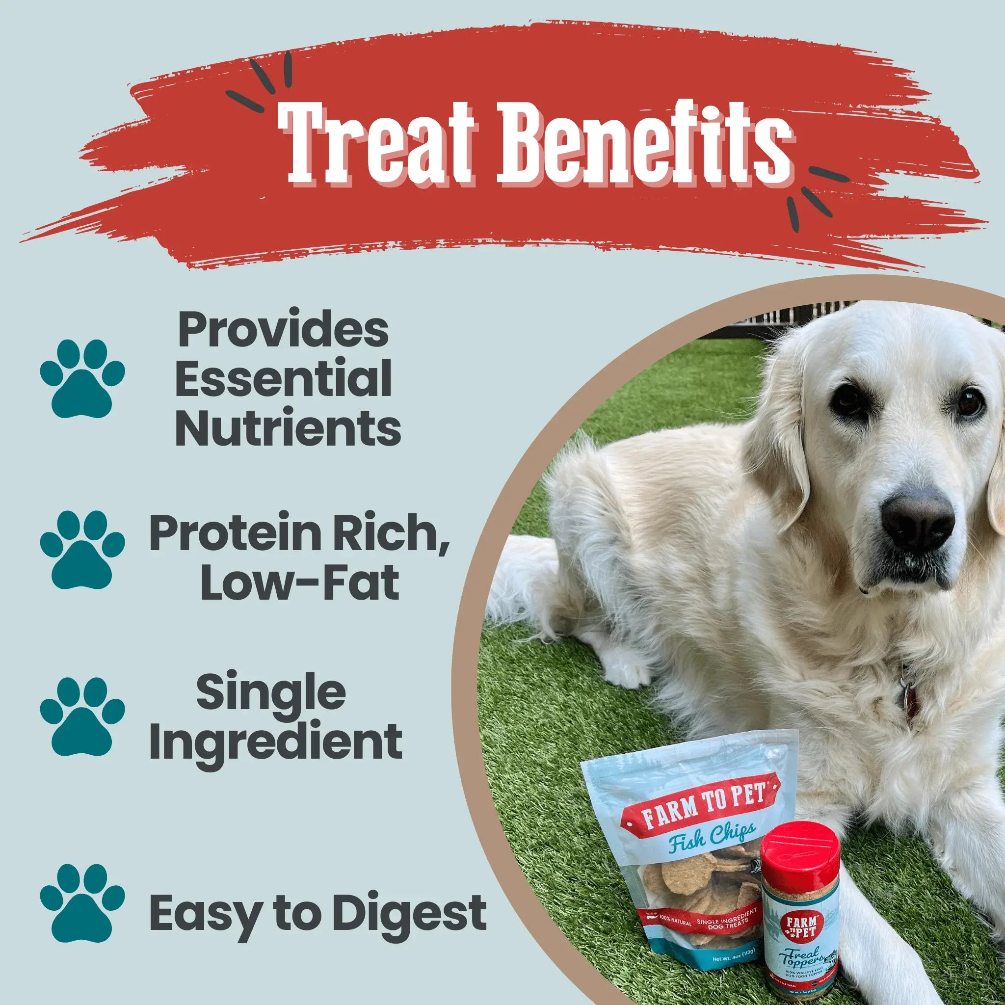 Fish Chips for Dogs | Wild-Caught Fish Dog Treats - Farm To Pet - Flyclothing LLC