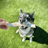 Reindeer Antler Dog Chews | Organic Chews for Dogs - Farm To Pet - Flyclothing LLC