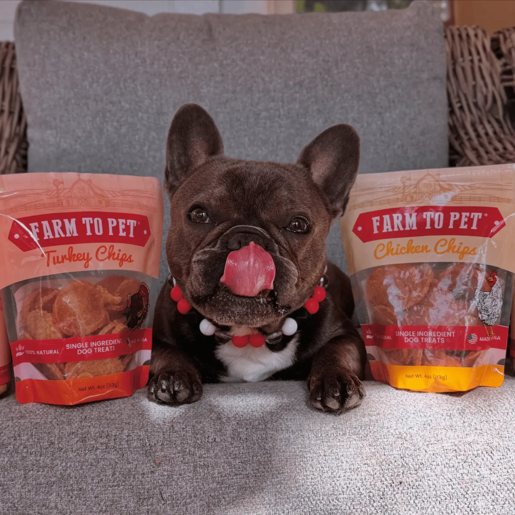 Turkey & Chicken Chip Dog Treat Duo | Single-Ingredient Poultry Treats for Dogs - Farm To Pet - Flyclothing LLC