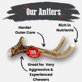 Deer Antler Dog Chews | Organic Chews for Dogs - Farm To Pet - Flyclothing LLC
