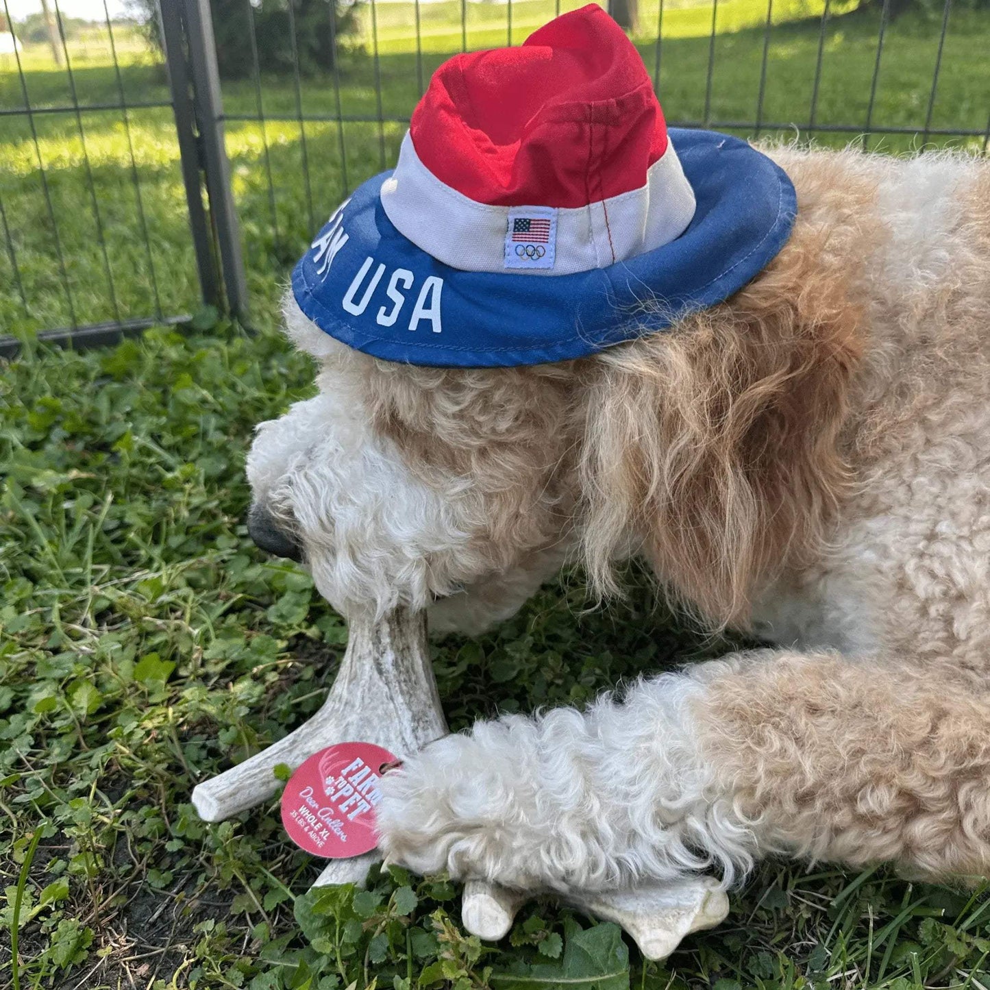 Deer Antler Dog Chews | Organic Chews for Dogs - Farm To Pet - Flyclothing LLC