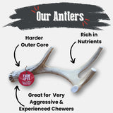 Deer Antler Dog Chews | Organic Chews for Dogs - Farm To Pet - Flyclothing LLC