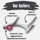 Deer Antler Dog Chews | Organic Chews for Dogs - Farm To Pet - Flyclothing LLC