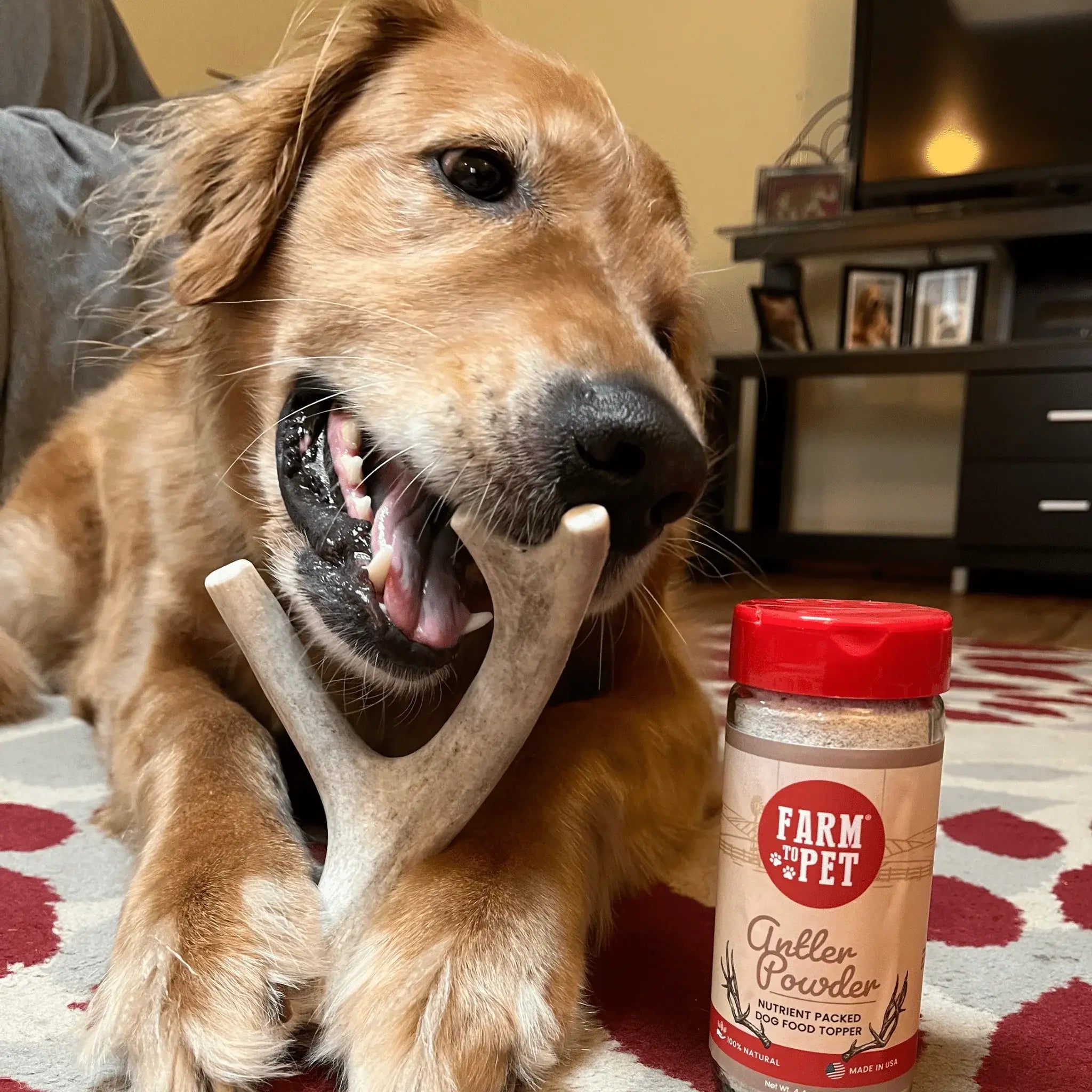 Deer Antler Dog Chews | Organic Chews for Dogs - Farm To Pet - Flyclothing LLC
