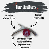 Deer Antler Dog Chews | Organic Chews for Dogs - Farm To Pet - Flyclothing LLC