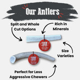 Elk Antler Dog Chews | All-Natural Whole and Split Elk Antler Chews for Dogs - Farm To Pet - Flyclothing LLC
