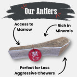 Elk Antler Dog Chews | All-Natural Whole and Split Elk Antler Chews for Dogs - Farm To Pet - Flyclothing LLC
