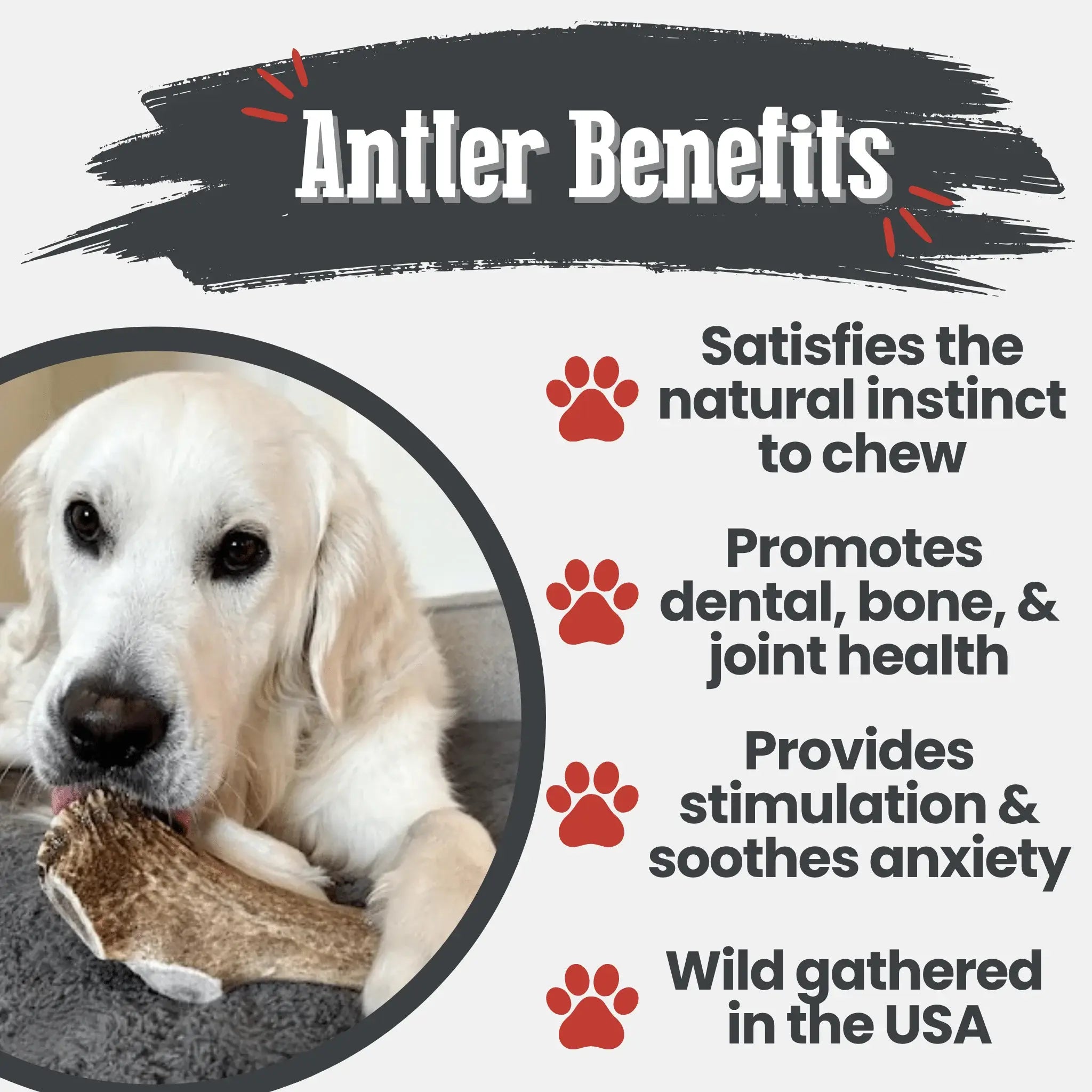 Elk Antler Dog Chews | All-Natural Whole and Split Elk Antler Chews for Dogs - Farm To Pet - Flyclothing LLC