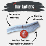 Elk Antler Dog Chews | All-Natural Whole and Split Elk Antler Chews for Dogs - Farm To Pet - Flyclothing LLC