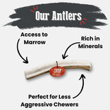 Elk Antler Dog Chews | All-Natural Whole and Split Elk Antler Chews for Dogs - Farm To Pet - Flyclothing LLC
