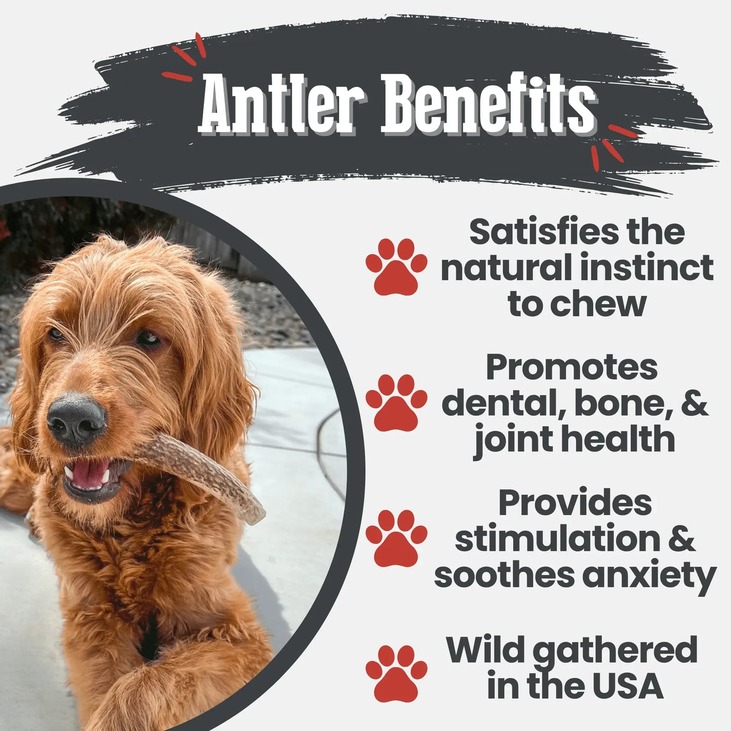 Elk Antler Dog Chews | All-Natural Whole and Split Elk Antler Chews for Dogs - Farm To Pet - Flyclothing LLC