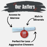 Elk Antler Dog Chews | All-Natural Whole and Split Elk Antler Chews for Dogs - Farm To Pet - Flyclothing LLC