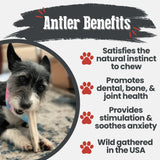 Elk Antler Dog Chews | All-Natural Whole and Split Elk Antler Chews for Dogs - Farm To Pet - Flyclothing LLC