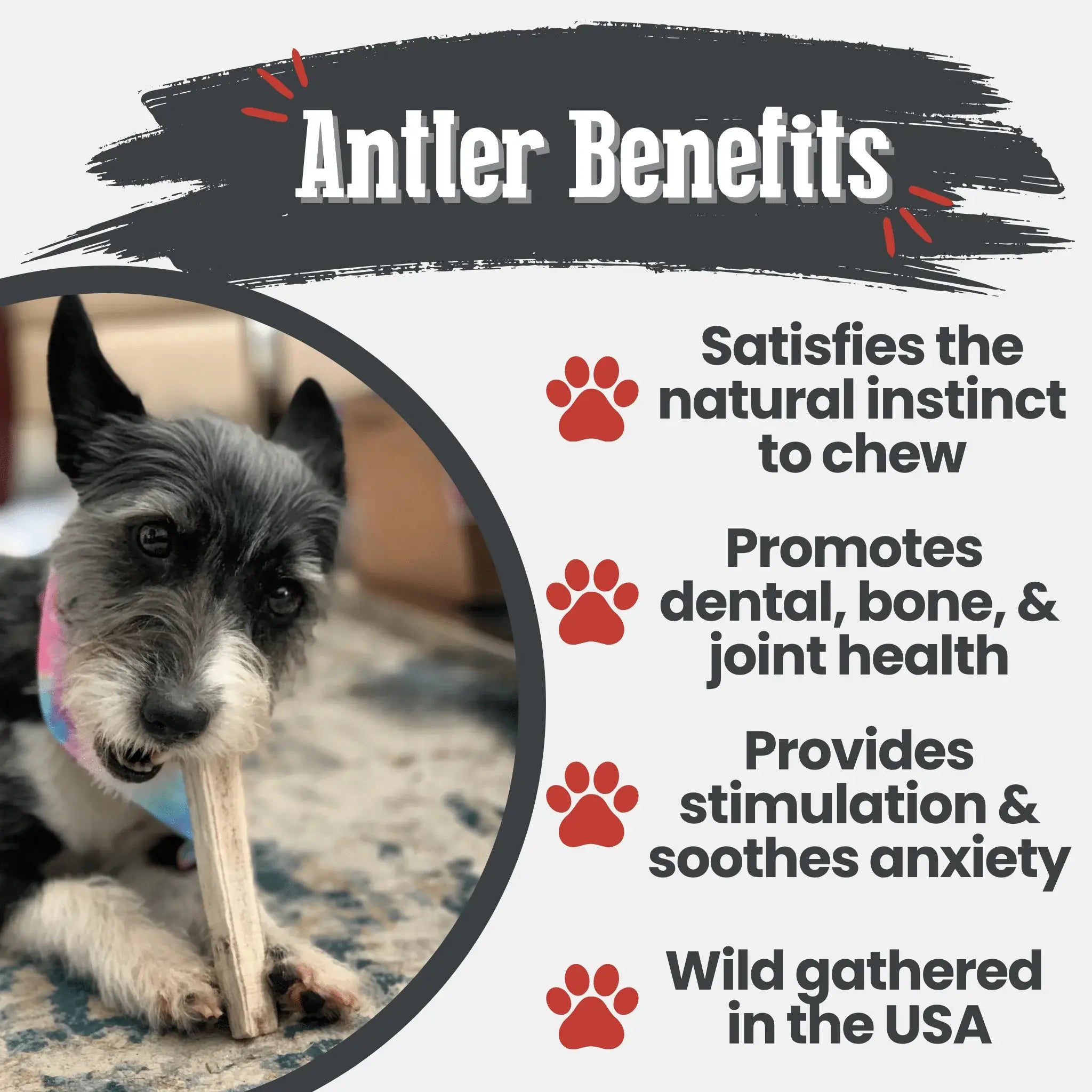 Elk Antler Dog Chews | All-Natural Whole and Split Elk Antler Chews for Dogs - Farm To Pet - Flyclothing LLC