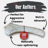 Elk Antler Dog Chews | All-Natural Whole and Split Elk Antler Chews for Dogs - Farm To Pet - Flyclothing LLC