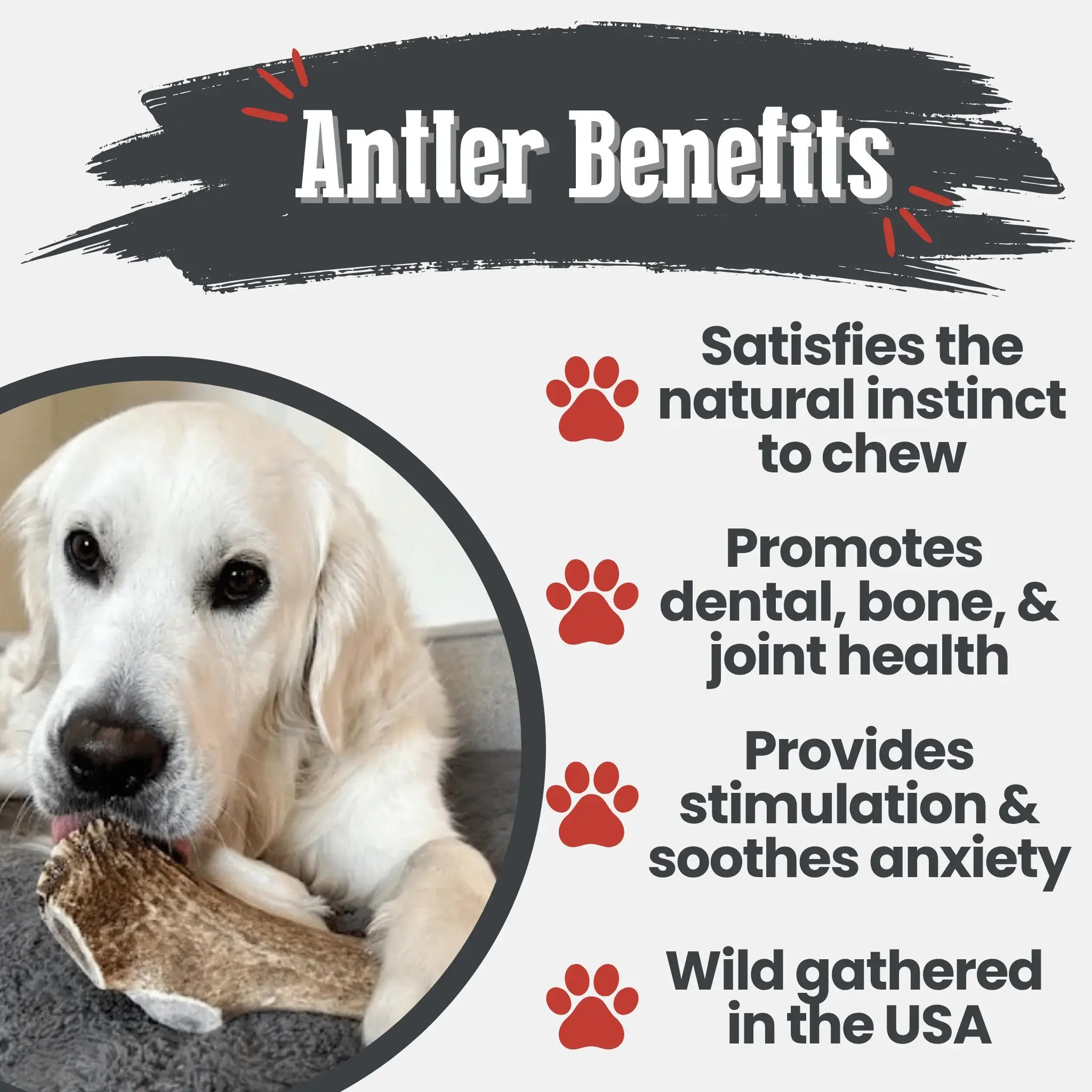 Elk Antler Dog Chews | All-Natural Whole and Split Elk Antler Chews for Dogs - Farm To Pet - Flyclothing LLC