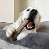 Elk Antler Dog Chews | All-Natural Whole and Split Elk Antler Chews for Dogs - Farm To Pet - Flyclothing LLC