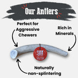 Elk Antler Dog Chews | All-Natural Whole and Split Elk Antler Chews for Dogs - Farm To Pet - Flyclothing LLC