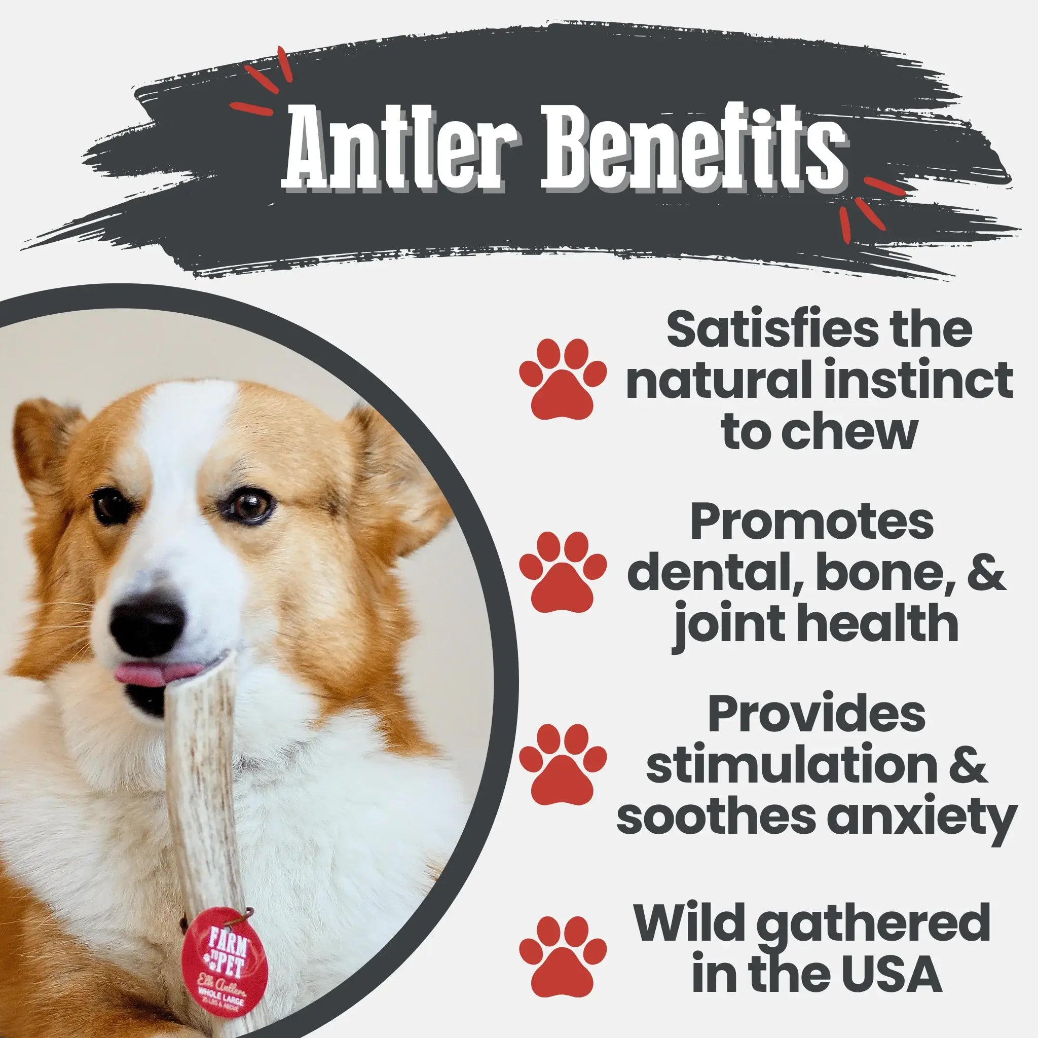 Elk Antler Dog Chews | All-Natural Whole and Split Elk Antler Chews for Dogs - Farm To Pet - Flyclothing LLC