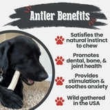 Elk Antler Dog Chews | All-Natural Whole and Split Elk Antler Chews for Dogs - Farm To Pet - Flyclothing LLC