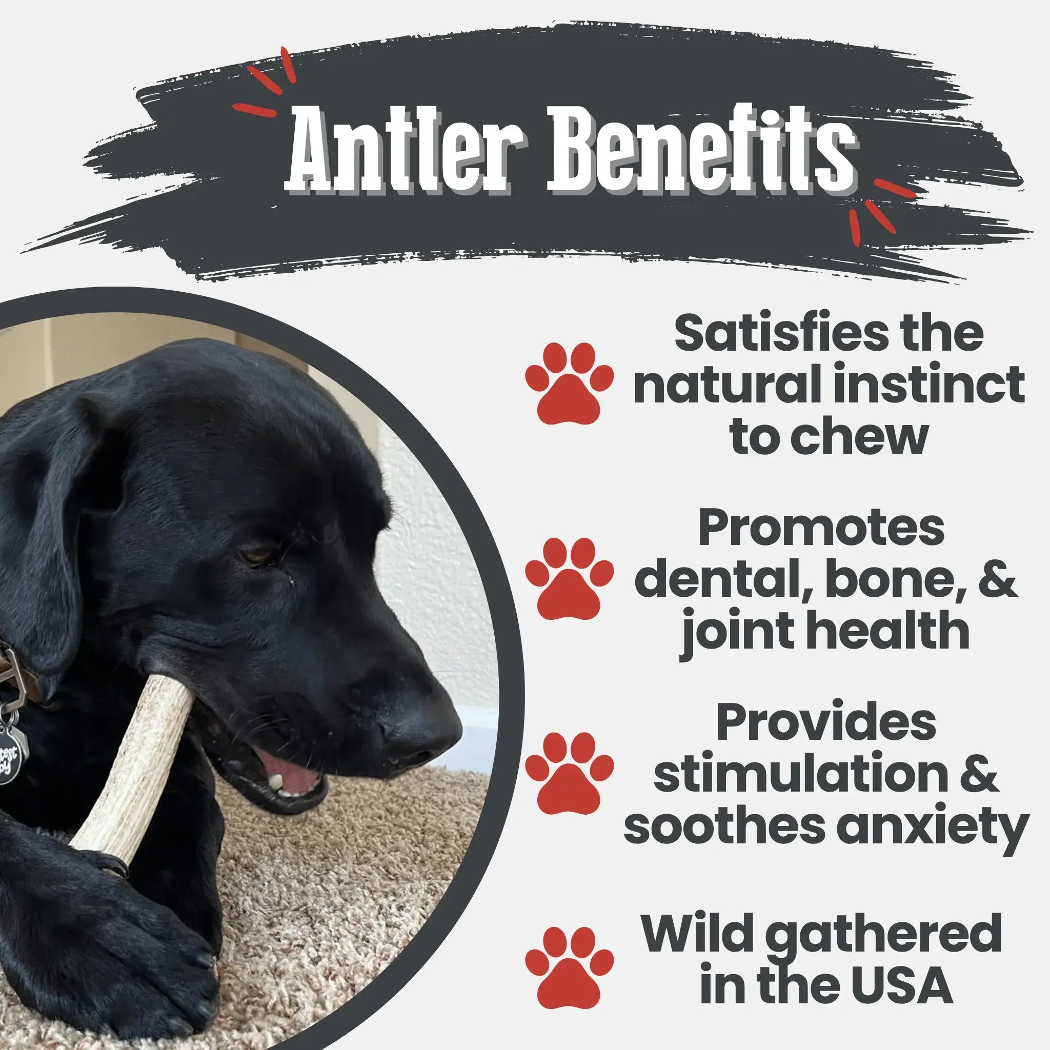 Elk Antler Dog Chews | All-Natural Whole and Split Elk Antler Chews for Dogs - Farm To Pet - Flyclothing LLC