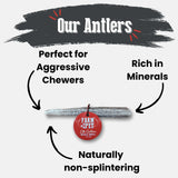 Elk Antler Dog Chews | All-Natural Whole and Split Elk Antler Chews for Dogs - Farm To Pet - Flyclothing LLC