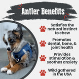 Elk Antler Dog Chews | All-Natural Whole and Split Elk Antler Chews for Dogs - Farm To Pet - Flyclothing LLC