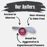 Reindeer Antler Dog Chews | Organic Chews for Dogs - Farm To Pet - Flyclothing LLC