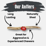 Reindeer Antler Dog Chews | Organic Chews for Dogs - Farm To Pet - Flyclothing LLC