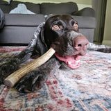 Reindeer Antler Dog Chews | Organic Chews for Dogs - Farm To Pet - Flyclothing LLC
