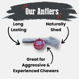 Reindeer Antler Dog Chews | Organic Chews for Dogs - Farm To Pet - Flyclothing LLC