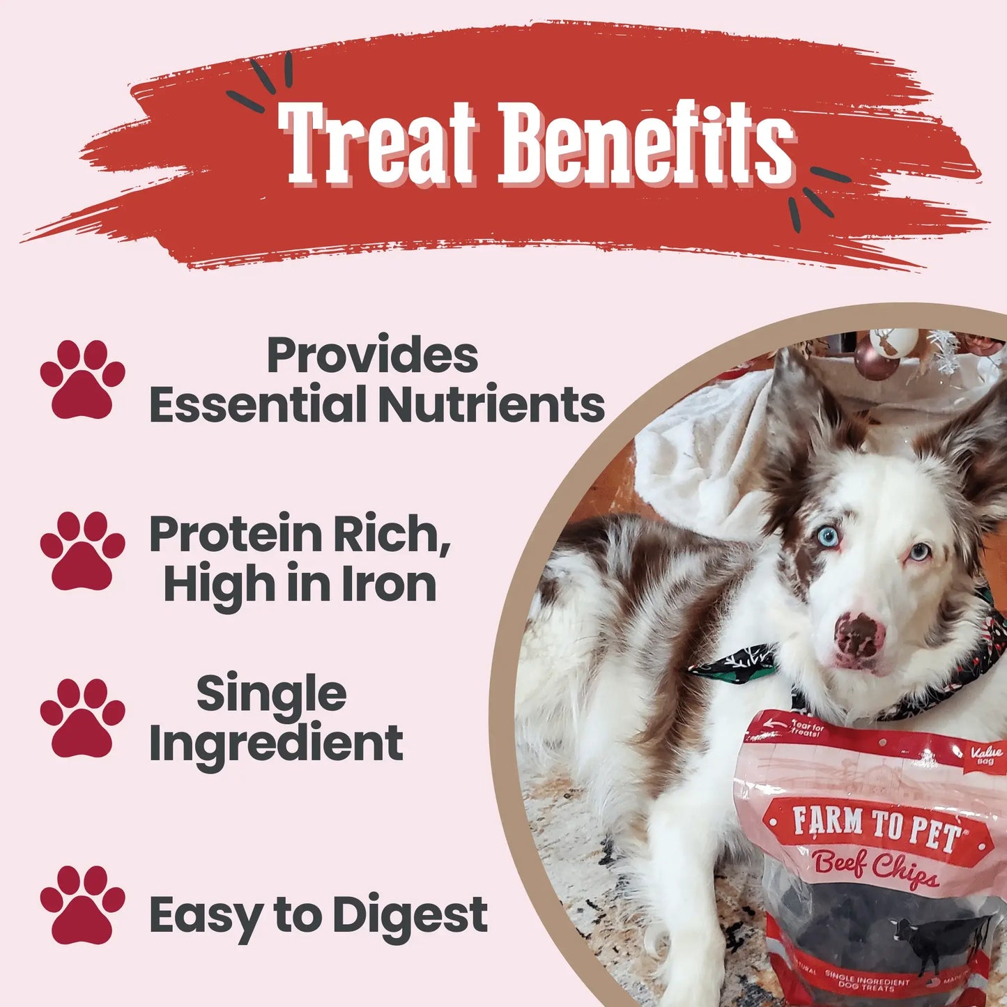 Beef Chips Dog Treats | Single-Ingredient Healthy Treats for Dogs - Farm To Pet - Flyclothing LLC