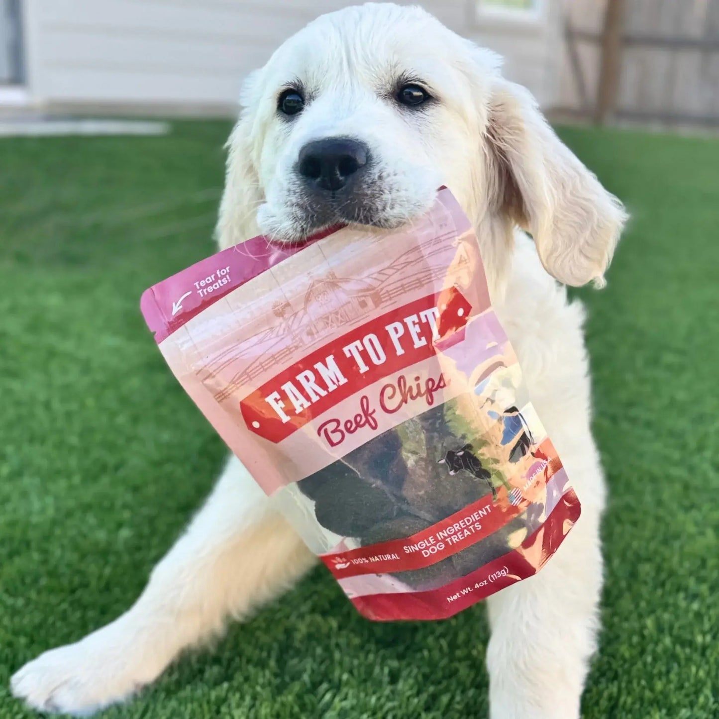 Beef Chips Dog Treats | Single-Ingredient Healthy Treats for Dogs - Farm To Pet - Flyclothing LLC