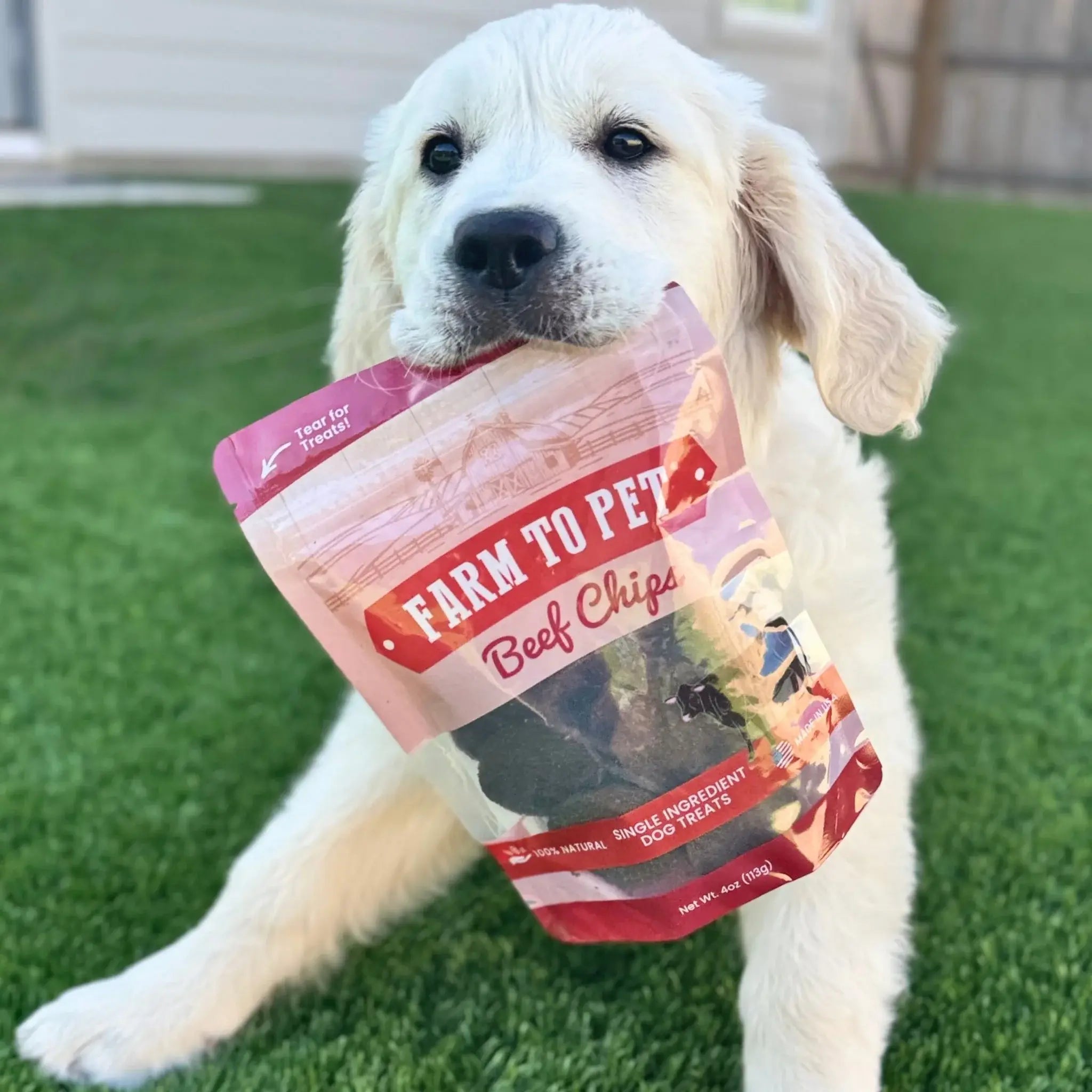 Beef Chips Dog Treats | Single-Ingredient Healthy Treats for Dogs - Farm To Pet - Flyclothing LLC