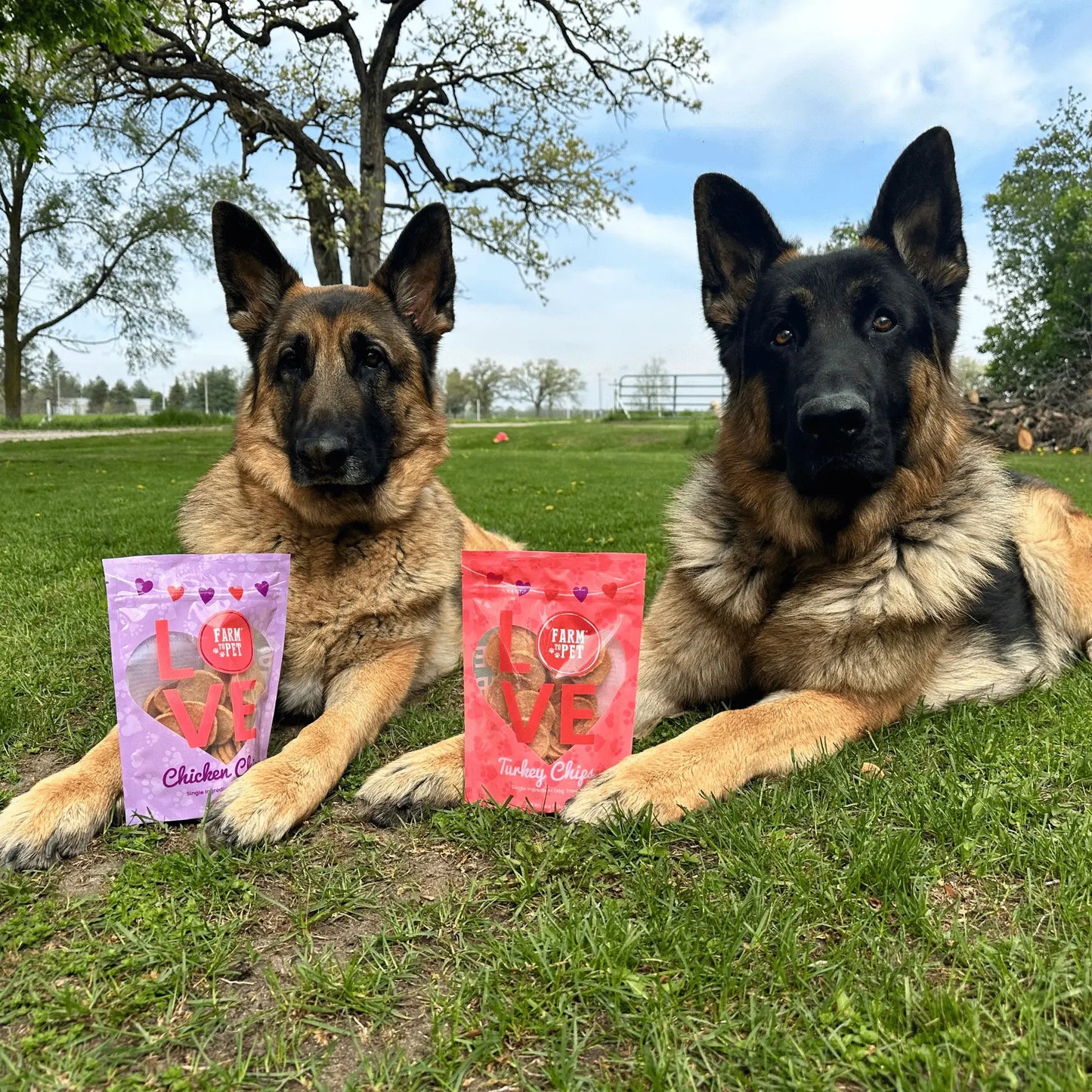 Puppy Love Dog Treat Duo | Poultry Chip Variety Pack - Farm To Pet - Flyclothing LLC