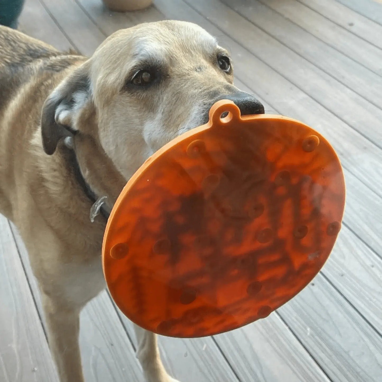 Dog Lick Mats with Suction Cups - Farm To Pet - Flyclothing LLC