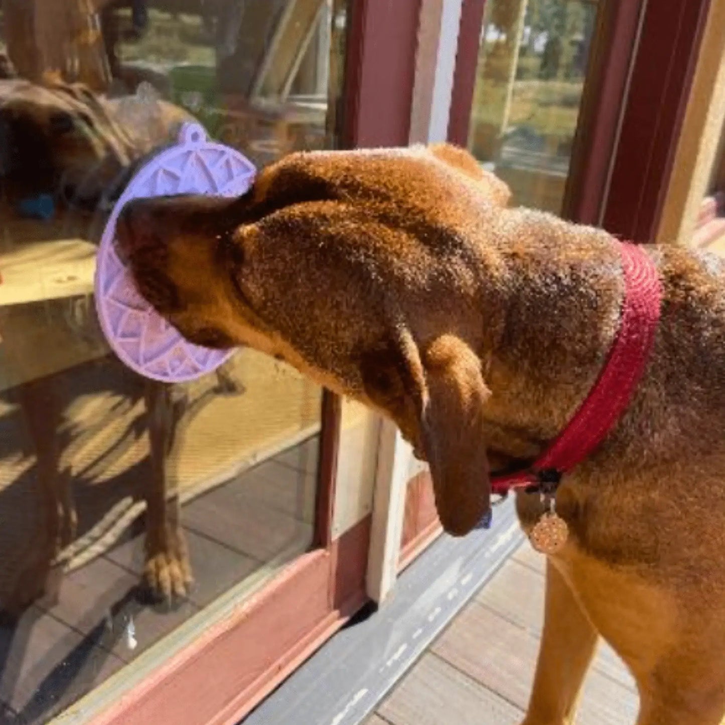Dog Lick Mats with Suction Cups - Farm To Pet - Flyclothing LLC
