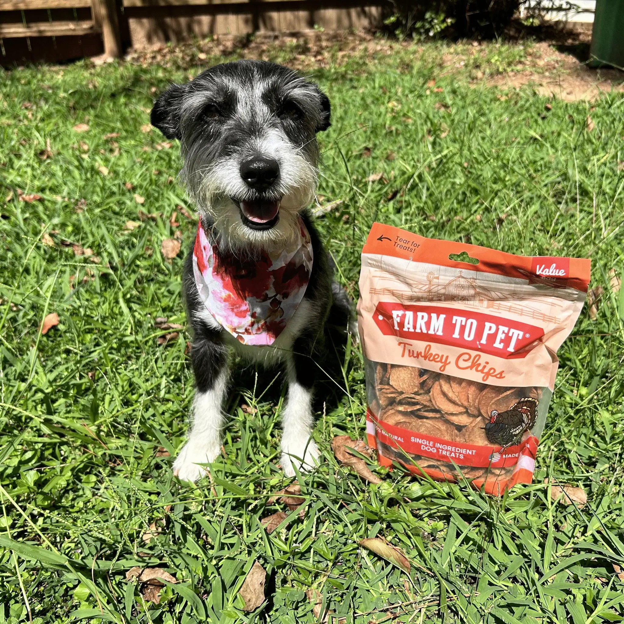 Turkey Chips for Dogs | All-Natural Single-Ingredient Healthy Dog Treats - Farm To Pet - Flyclothing LLC