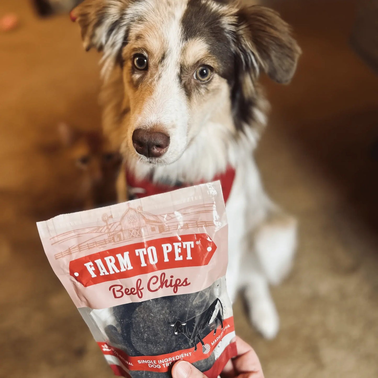 Puppy Packs 'n Snacks Dog Treat Starter Pack | Single-Ingredient Training Treats - Farm To Pet - Flyclothing LLC