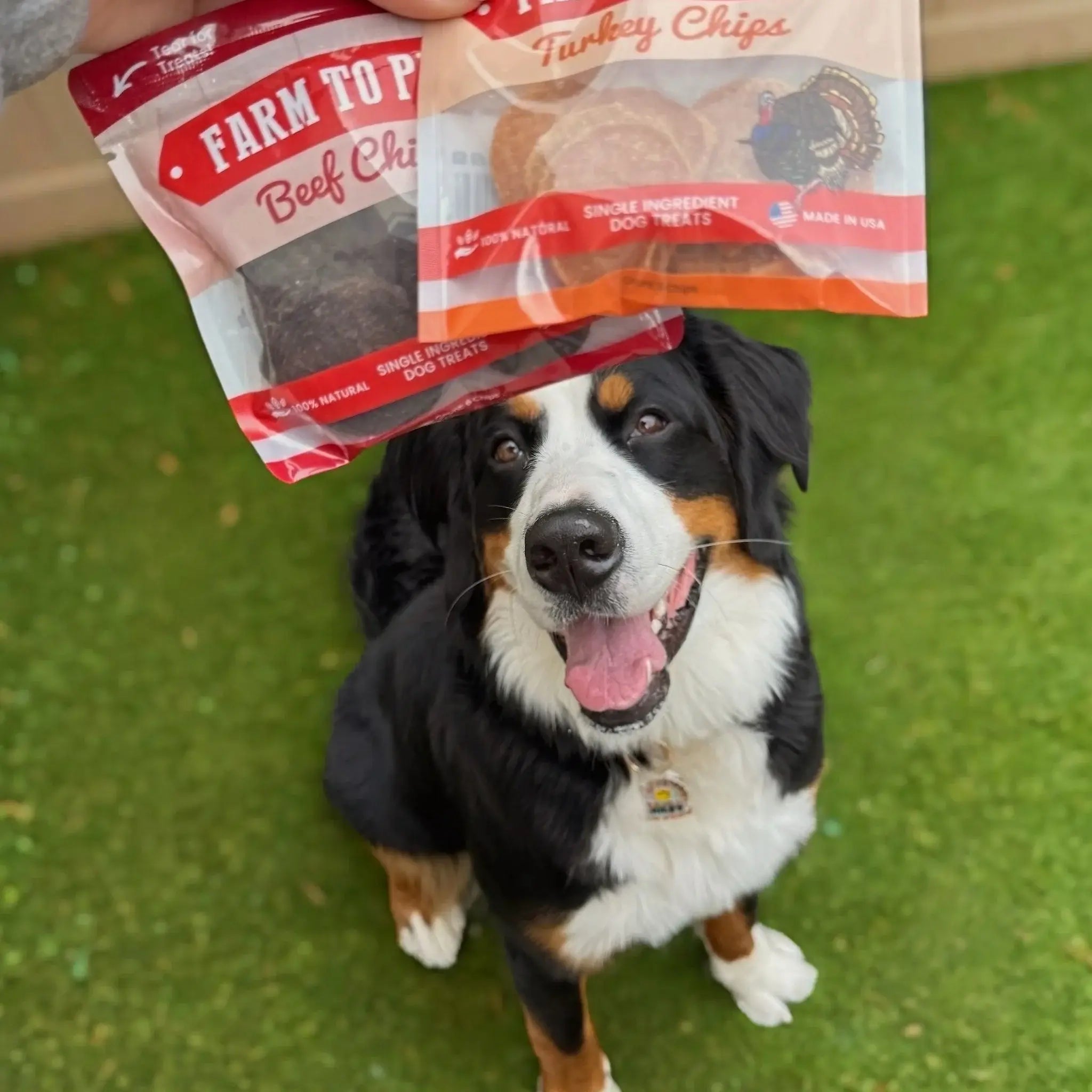 Puppy Packs 'n Snacks Dog Treat Starter Pack | Single-Ingredient Training Treats - Farm To Pet - Flyclothing LLC