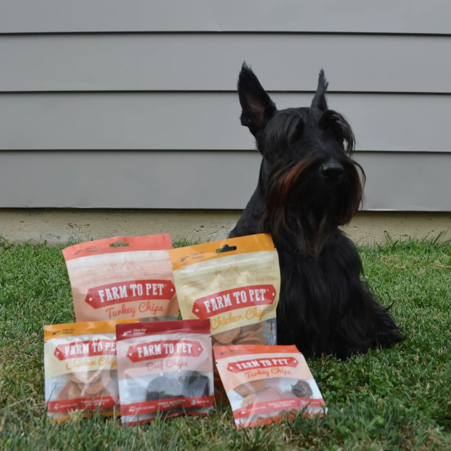 Puppy Packs 'n Snacks Dog Treat Starter Pack | Single-Ingredient Training Treats - Farm To Pet - Flyclothing LLC
