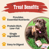 Snack Pack Dog Treat Sampler - Farm To Pet - Flyclothing LLC