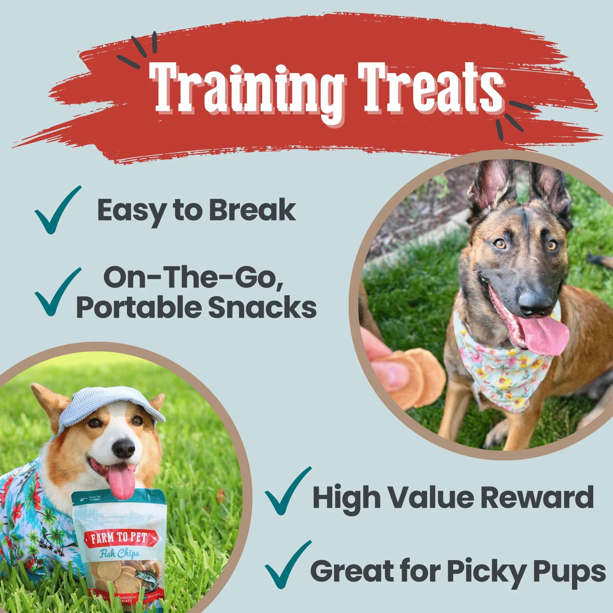 Fish Chips for Dogs | Wild-Caught Fish Dog Treats - Farm To Pet - Flyclothing LLC