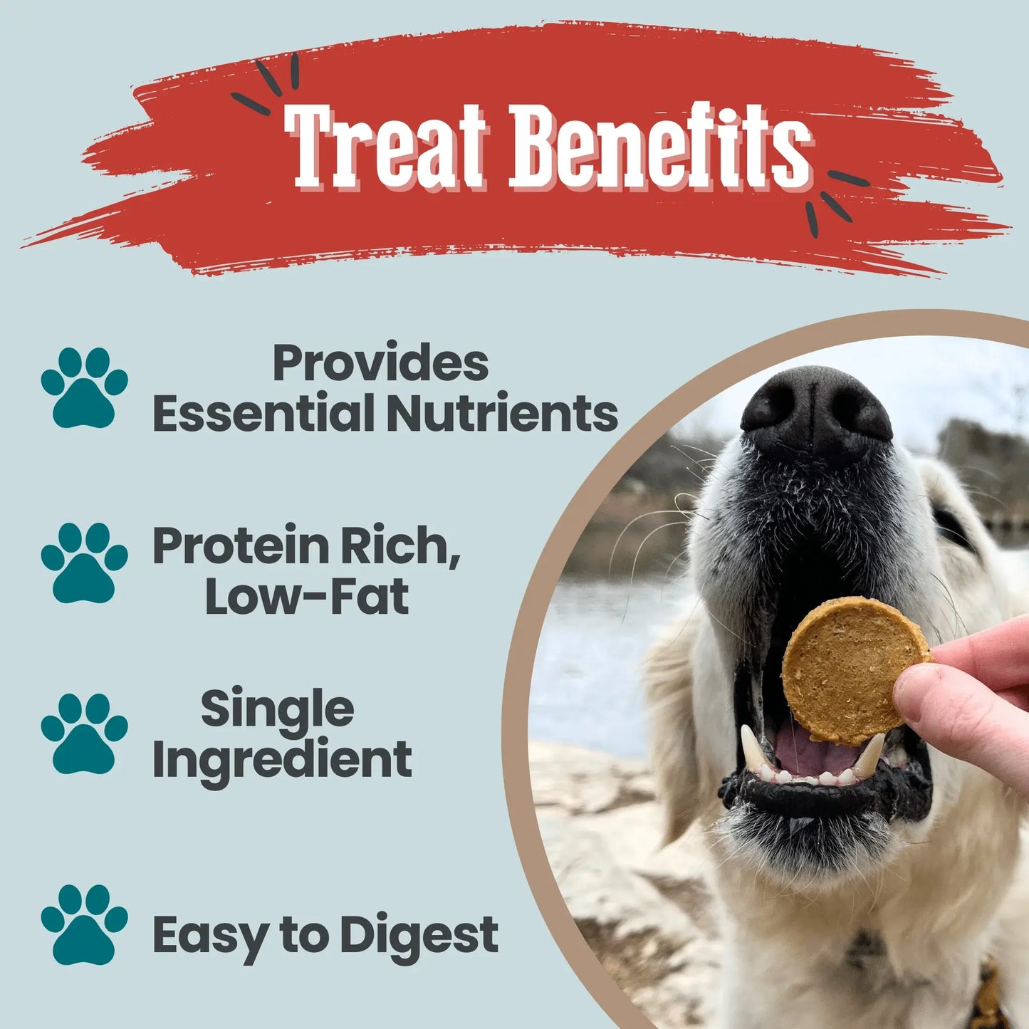 Fish Chips for Dogs | Wild-Caught Fish Dog Treats - Farm To Pet - Flyclothing LLC