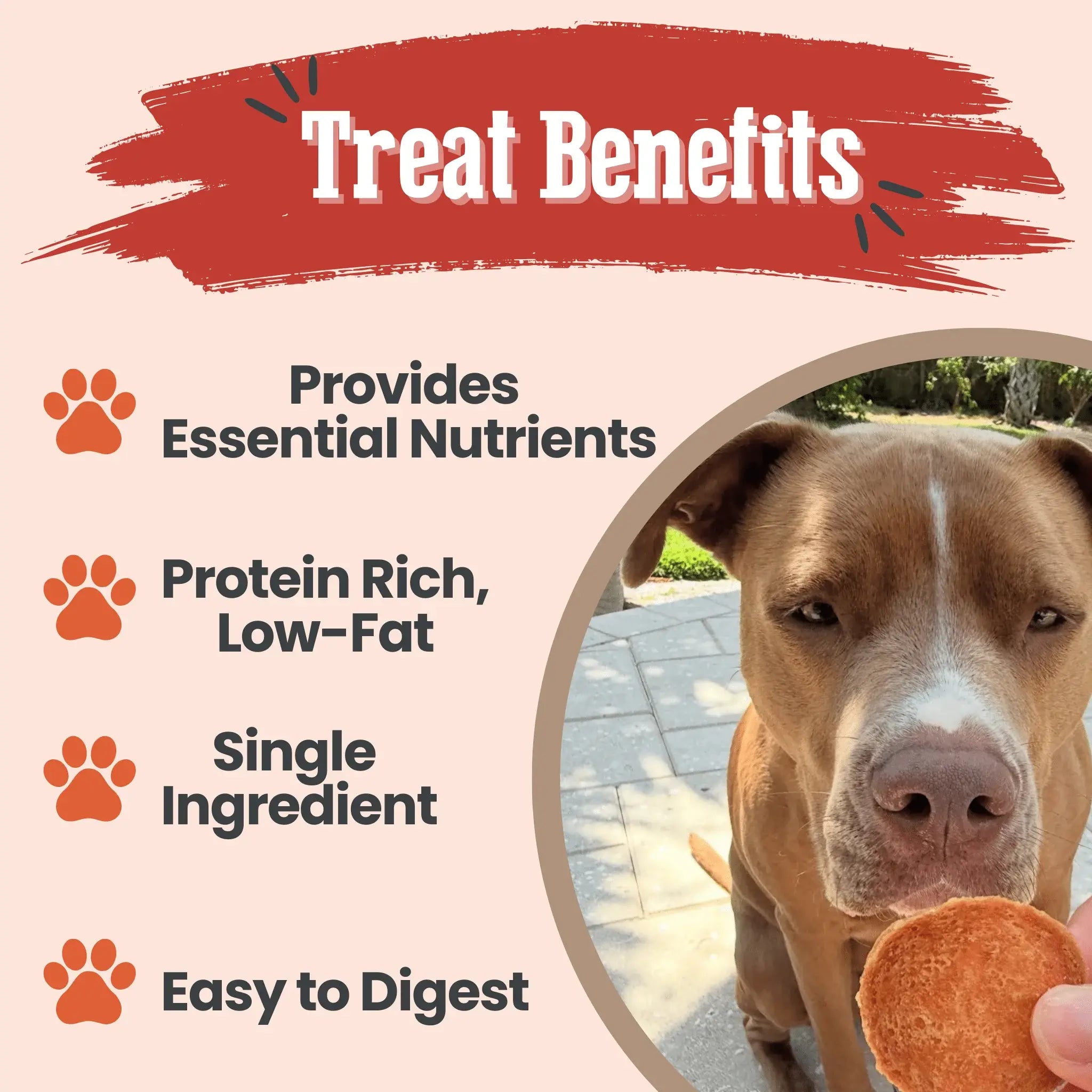 Turkey Chips for Dogs | All-Natural Single-Ingredient Healthy Dog Treats - Farm To Pet - Flyclothing LLC
