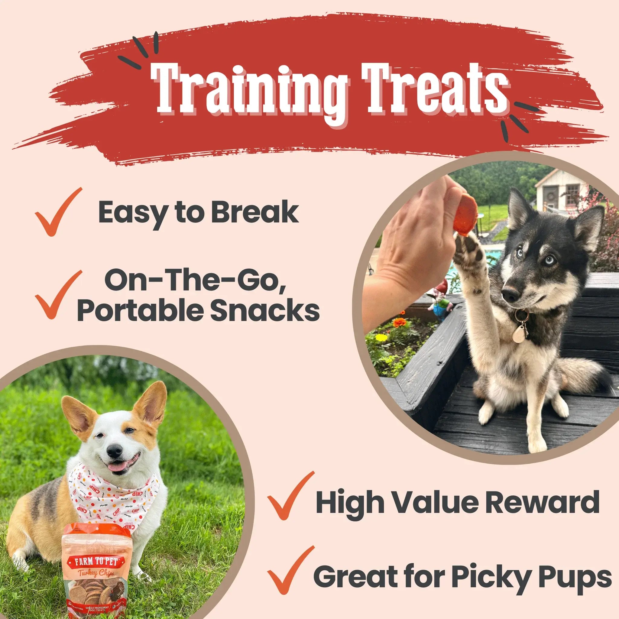 Turkey Chips for Dogs | All-Natural Single-Ingredient Healthy Dog Treats - Farm To Pet - Flyclothing LLC